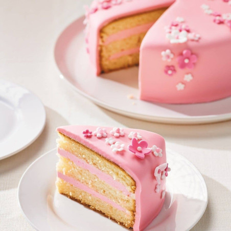 cubo-de-5-kg-de-mix-genoise-funcakes