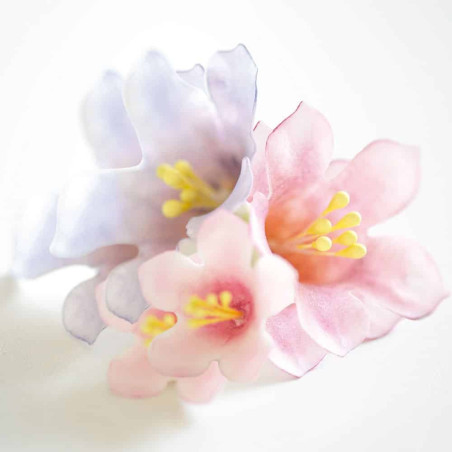 flor-de-petunia-en-pasta-de-azucar
