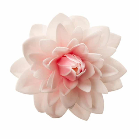 flor gigante de oblea