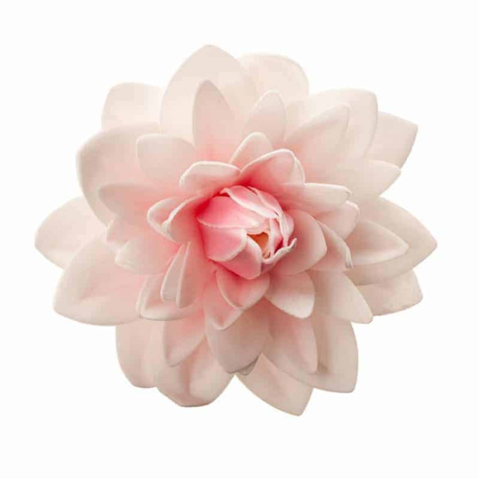 flor gigante de oblea
