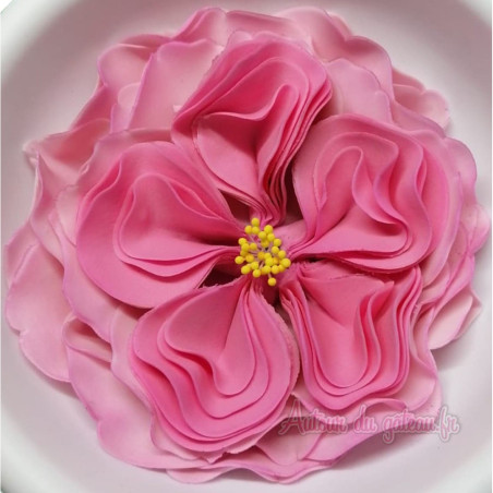 Rosa-inglesa-en-pasta-de-azúcar