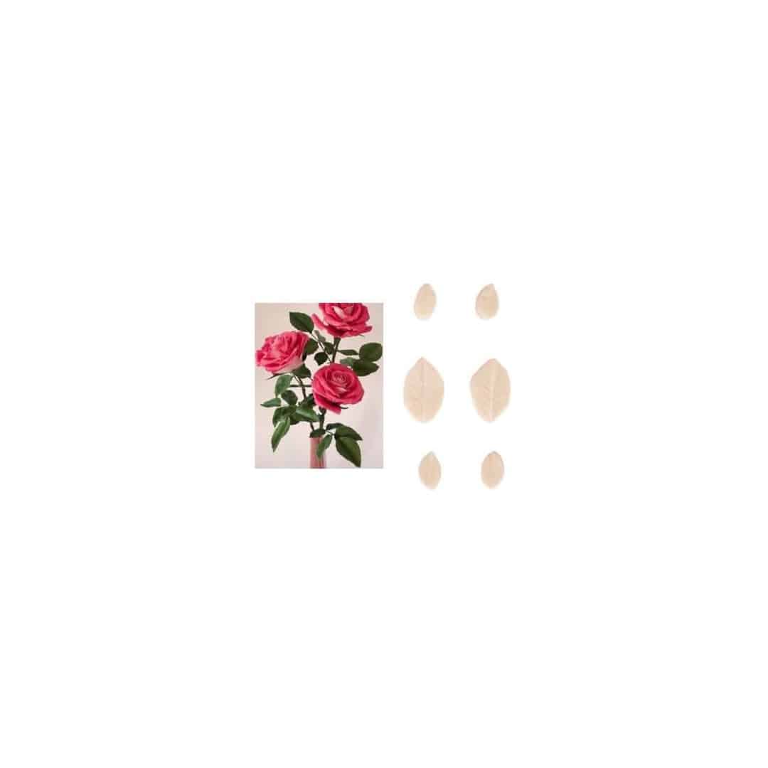 set-6-venas-hojas-de-rosa