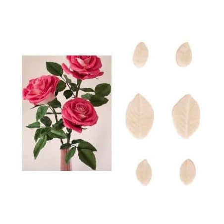 set-6-venas-hojas-de-rosa