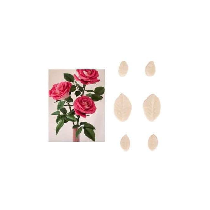 set-6-venas-hojas-de-rosa