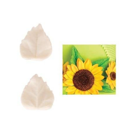 set-2-venas-hojas-de-girasol
