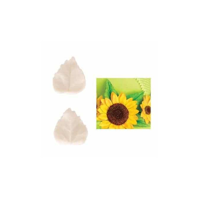 set-2-venas-hojas-de-girasol