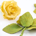 4-cortadores-de-hojas-de-rosas