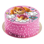 idea-pastel-stella-paw-patrol