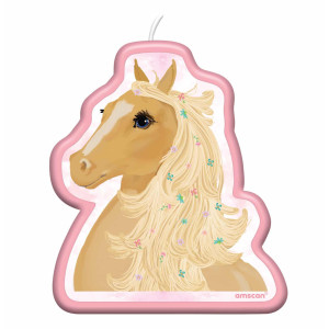 vela de cumpleaños de caballo