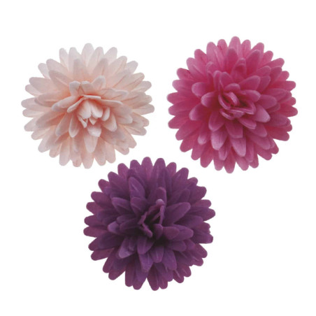12-flores-pompones-tricolores