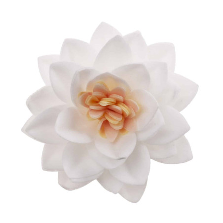 15-flores-de-loto-blanco-en-matzá