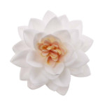 15-flores-de-loto-blanco-en-matzá