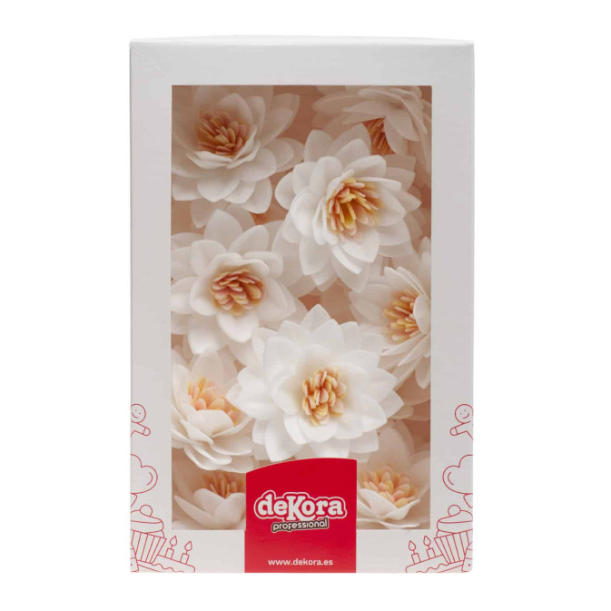 flores-de-loto-blanco-en-matzá