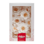 flores-de-loto-blanco-en-matzá