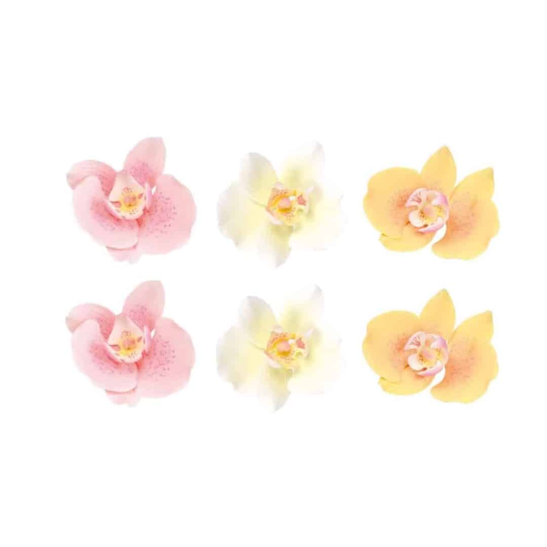 Diseño-pastel-6-flores-orquideas-pastel