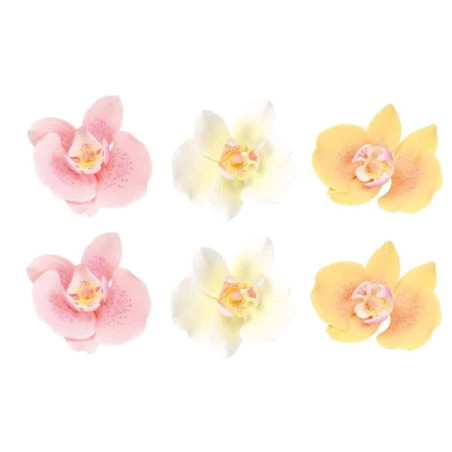 Diseño-pastel-6-flores-orquideas-pastel