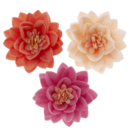 15 flores de loto en matzá