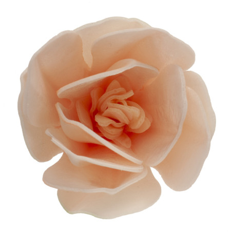 flor-de-magnolia-en-pastel-matzá-deco
