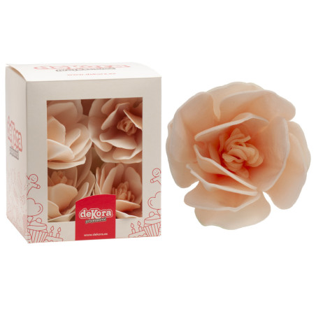 magnolia-matzá