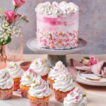 crema-enchantee-funcakes-10-kg