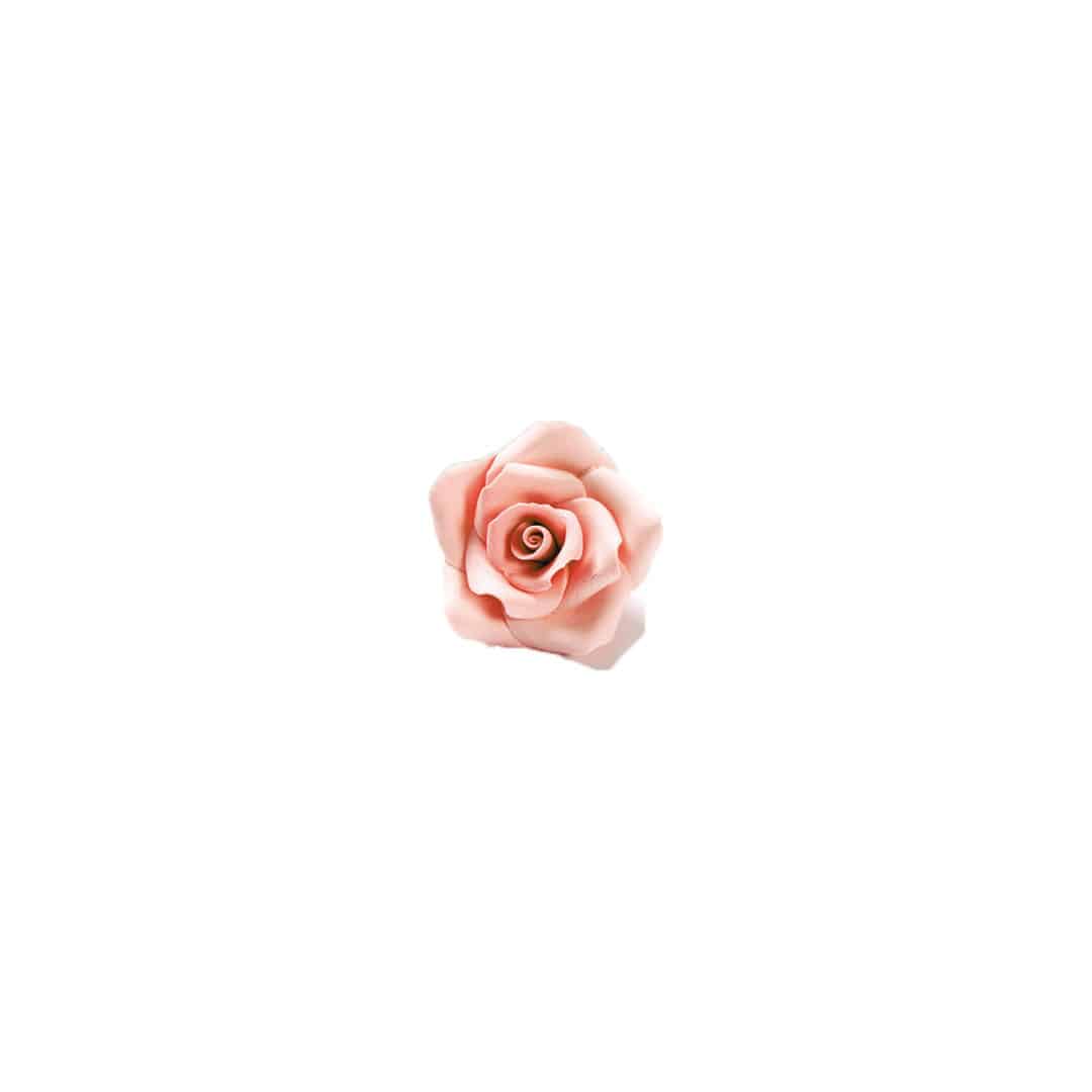 rose-en-sucre-peche-cake-design.jpg