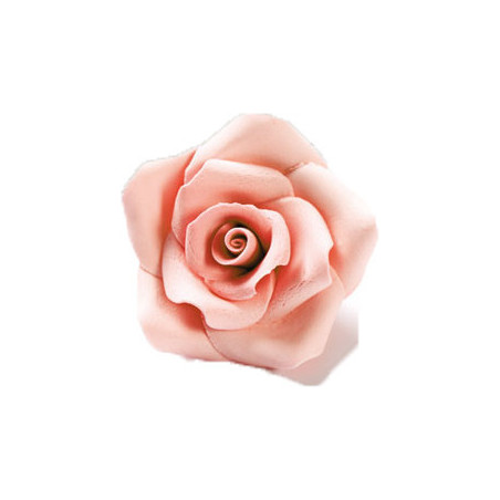 rose-en-sucre-peche-cake-design.jpg