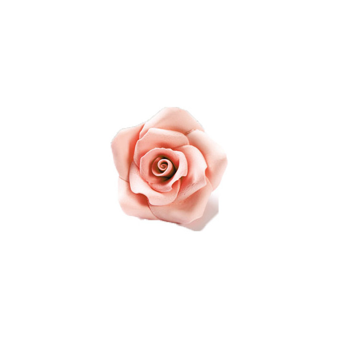 rose-en-sucre-peche-cake-design.jpg