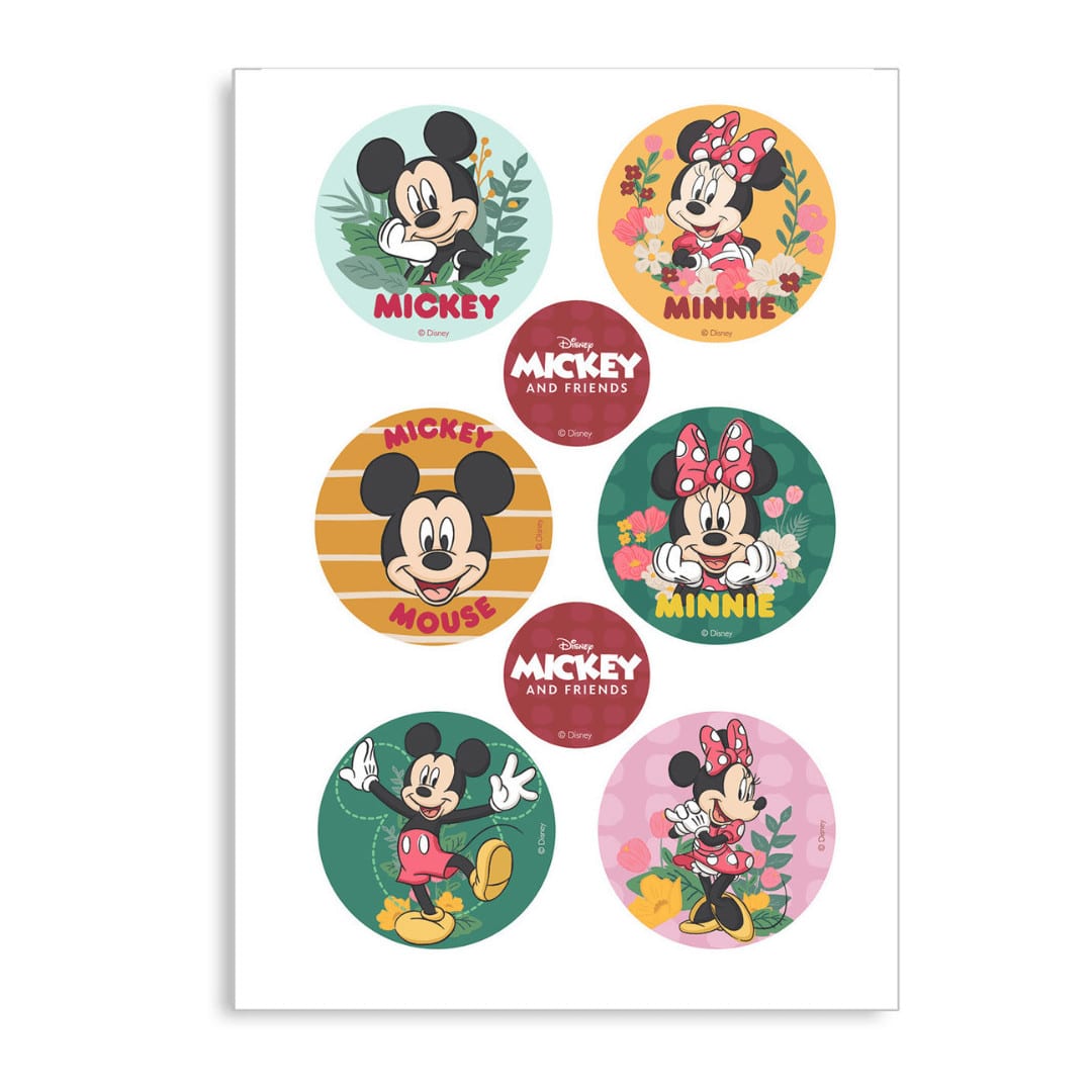6-mini-azimas-mickey