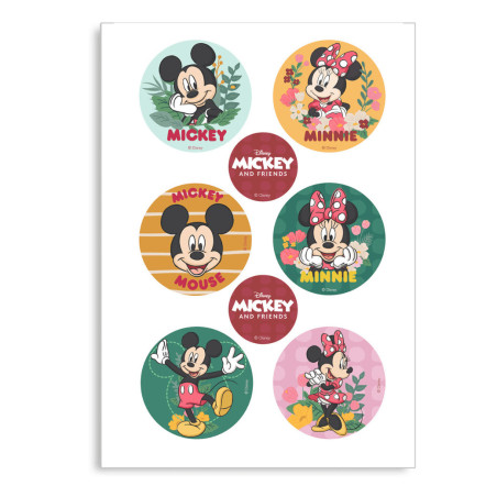 6-mini-azimas-mickey