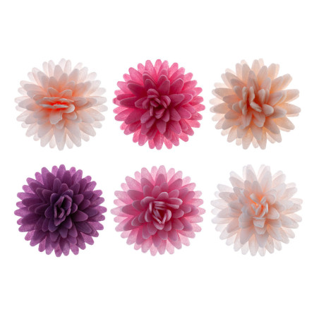 flores-pompones-tricolores