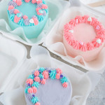 varios pasteles bento