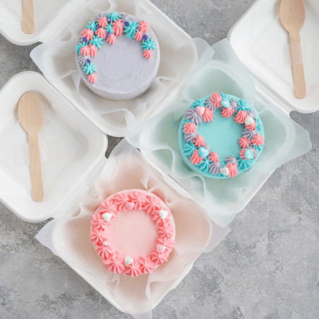 varios pasteles bento coloridos en su caja