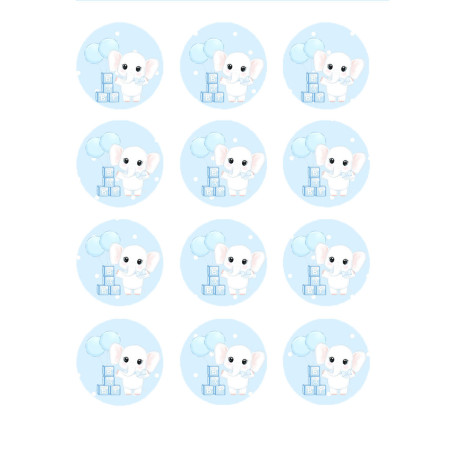 12 Mini discos de azúcar baby Ø 5 cm