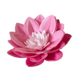 nenúfar rosa