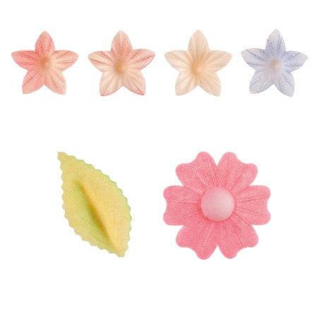 conjunto de varias flores comestibles