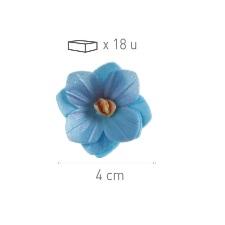 flor de oblea azul