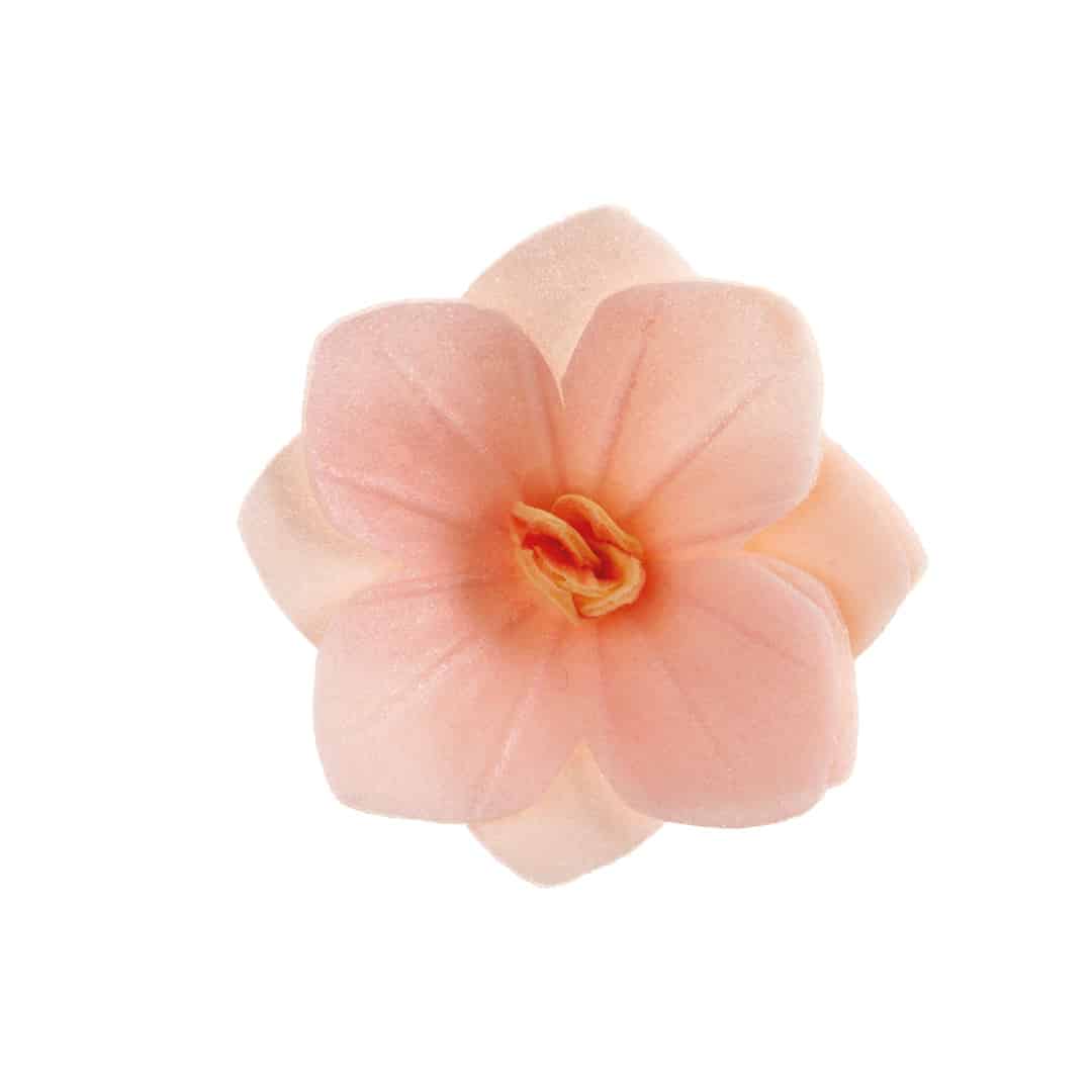 18 flores de oblea de color rosa claro