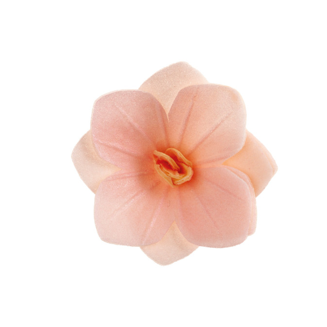 18 flores de oblea de color rosa claro