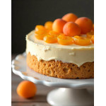 Puré de albaricoque Ravifruit