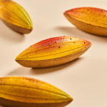 Molde trampantojo de vainas de cacao Silikomart