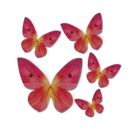 Decoraciones comestibles de mariposas en oblea - juego de 79 decoraciones comestibles
