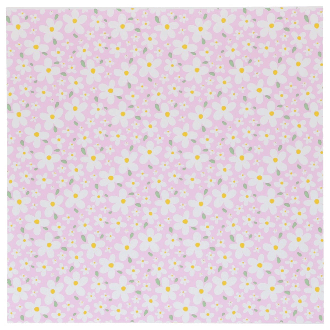 Papel de hornear para pasteles bento - 25 x 25 cm
