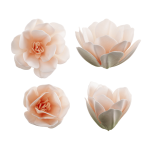 6 Flores de Magnolia en Oblea 7 cm | decoración de pasteles