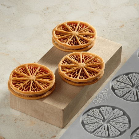 moule 3d tramos de cidra de Pavoni Italia
