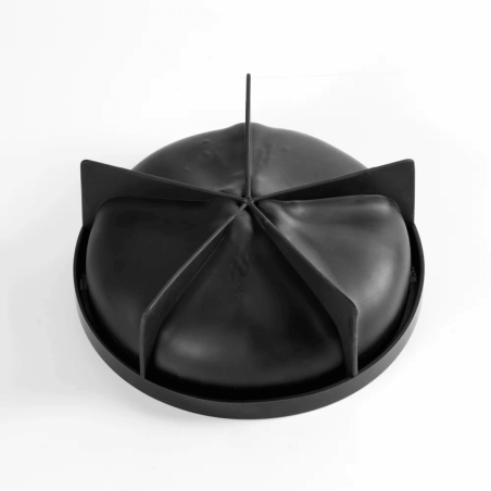 Molde trompe l'oeil de limón - Pavoni y Cedric Grolet