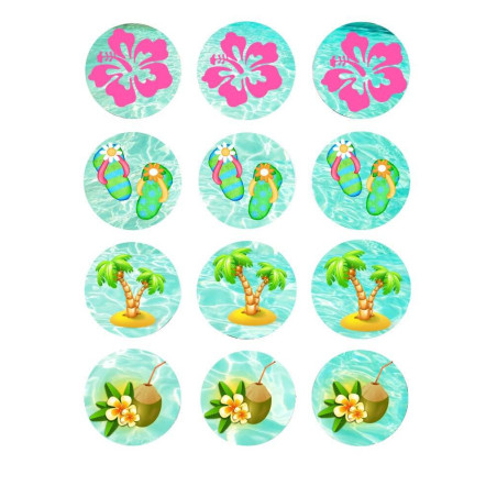 12-Mini-discos-de-azucar-cupcakes-vaiana