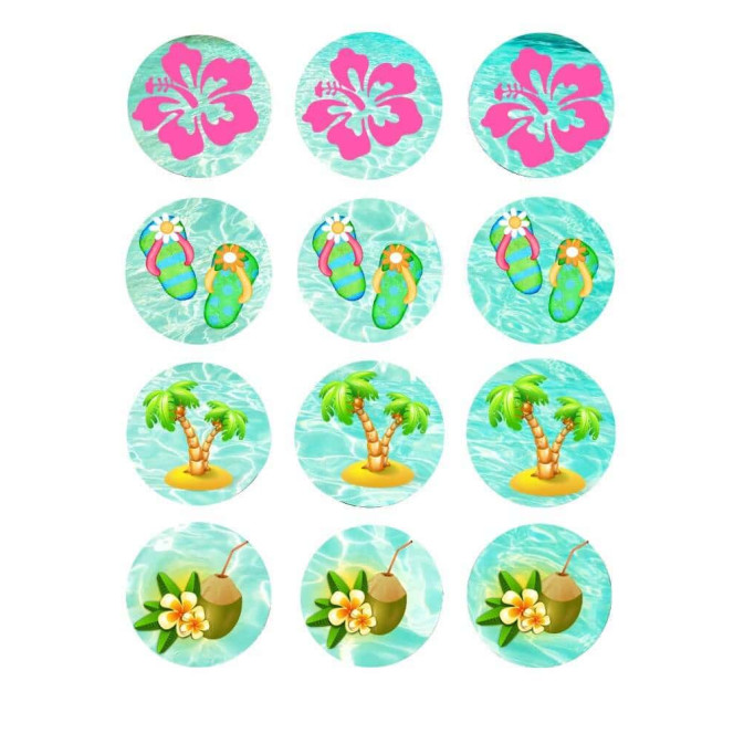 12-Mini-discos-de-azucar-cupcakes-vaiana