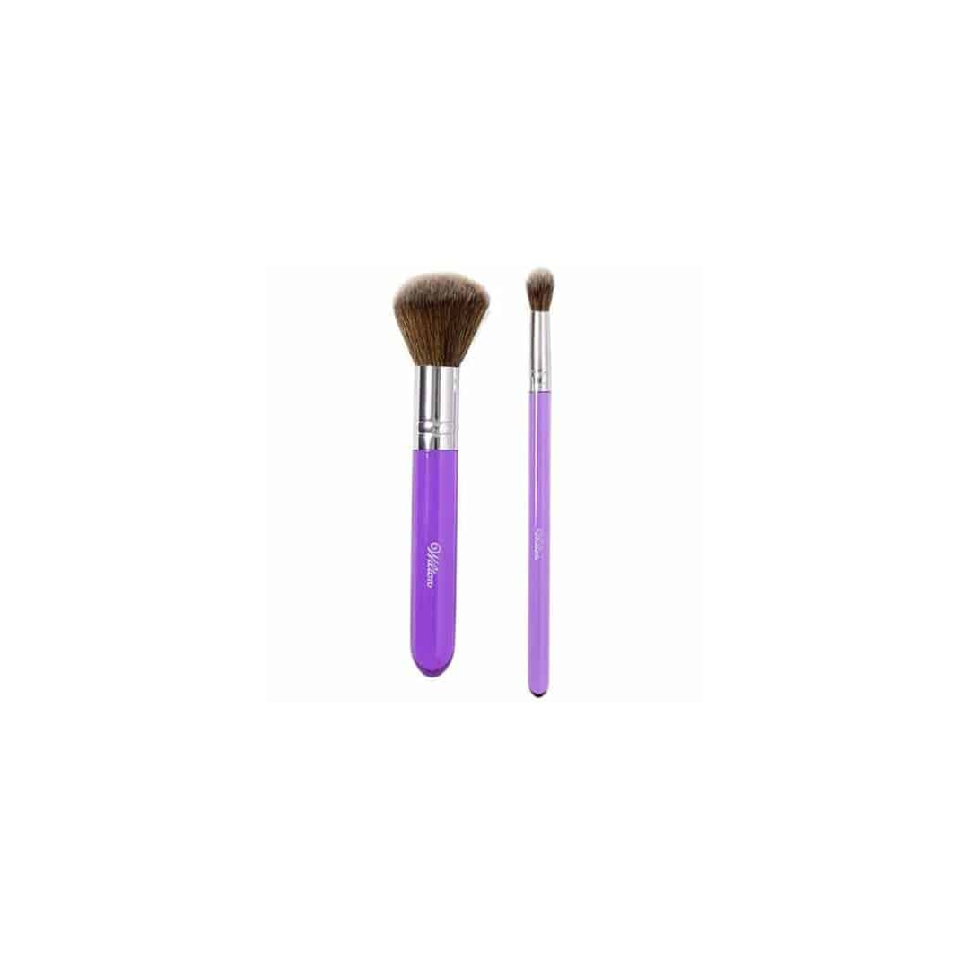 2-cepillos-comida-cepillo-wilton