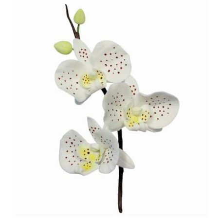 set-de-3-cortadores-de-piezas-orquideas-8-cm