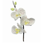 set-de-3-cortadores-de-piezas-orquideas-8-cm